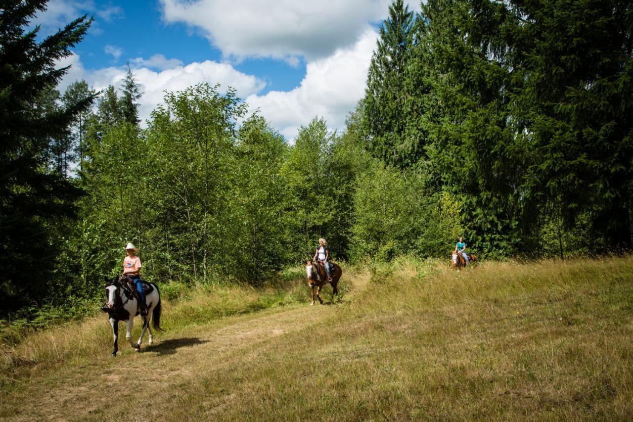 Chehalis Camping Resort Cottage 5 Onalaska エクステリア 写真